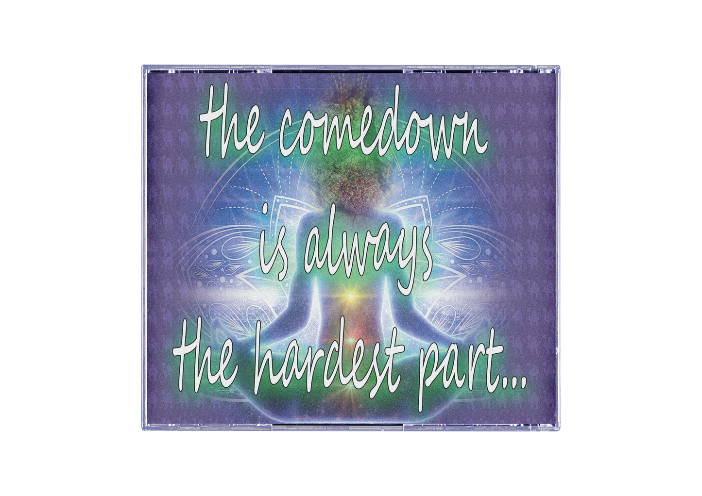 [ONLINE ONLY] "THE COMEDOWN" COMPACT DISC