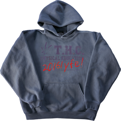 ✶ COMEDOWN TOUR HOODIE ✶
